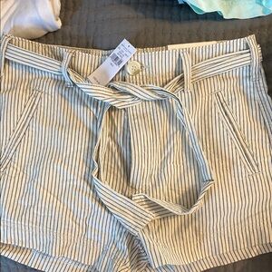 American Eagle Outfitters Cream and Navy Striped Shorts